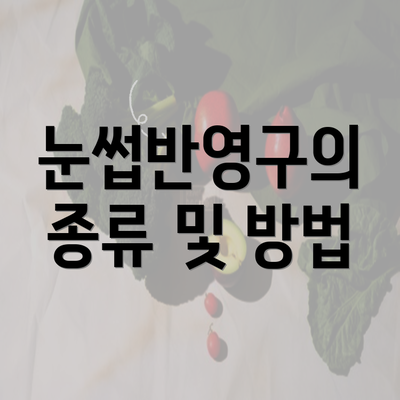 눈썹반영구의 종류 및 방법