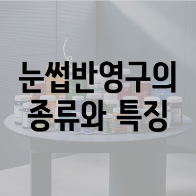 눈썹반영구의 종류와 특징