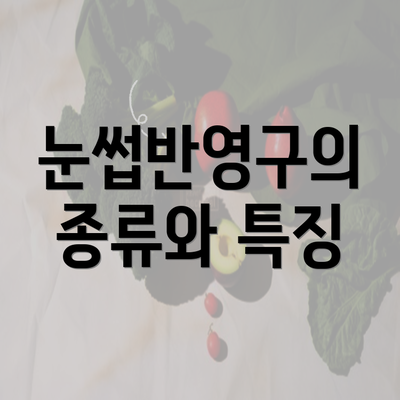 눈썹반영구의 종류와 특징