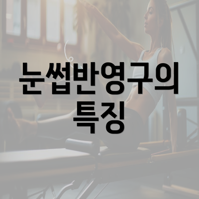 눈썹반영구의 특징