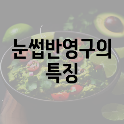 눈썹반영구의 특징