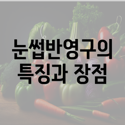 눈썹반영구의 특징과 장점