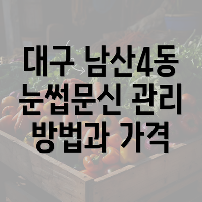 대구 남산4동 눈썹문신 관리 방법과 가격