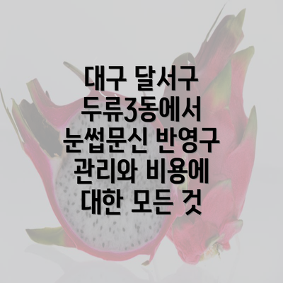 대구 달서구 두류3동에서 눈썹문신 반영구 관리와 비용에 대한 모든 것