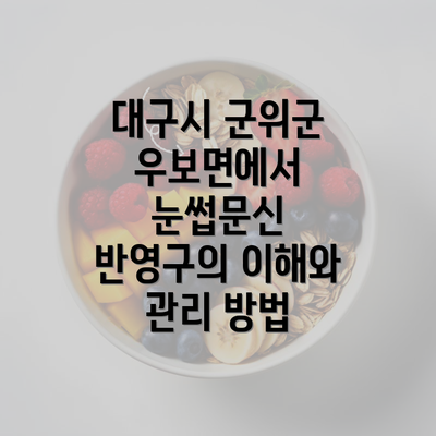 대구시 군위군 우보면에서 눈썹문신 반영구의 이해와 관리 방법