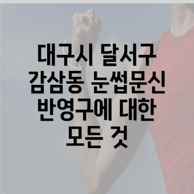 대구시 달서구 감삼동 눈썹문신 반영구에 대한 모든 것