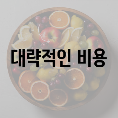 대략적인 비용