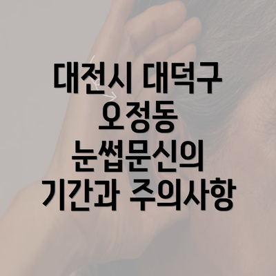 대전시 대덕구 오정동 눈썹문신의 기간과 주의사항