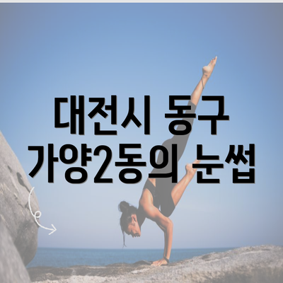 대전시 동구 가양2동의 눈썹