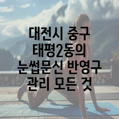 대전시 중구 태평2동의 눈썹문신 반영구 관리 모든 것