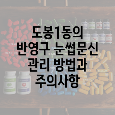 도봉1동의 반영구 눈썹문신 관리 방법과 주의사항