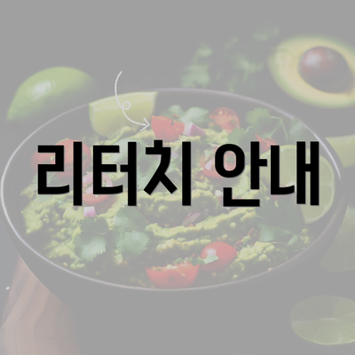 리터치 안내