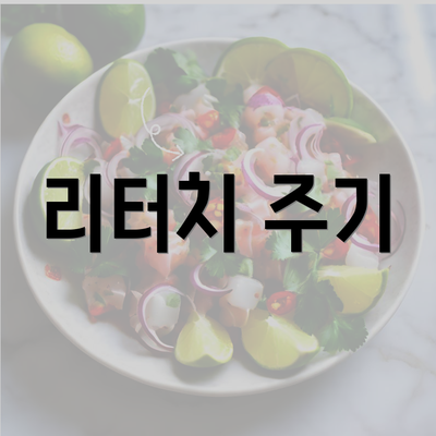 리터치 주기