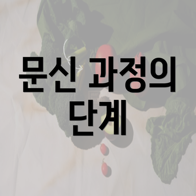 문신 과정의 단계