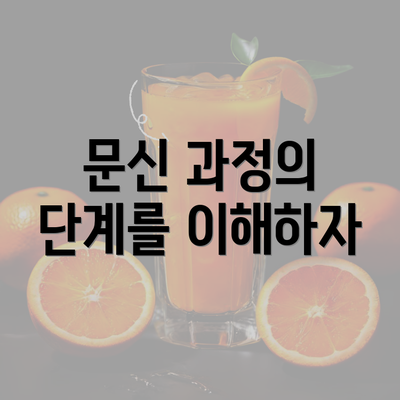 문신 과정의 단계를 이해하자