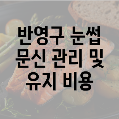 반영구 눈썹 문신 관리 및 유지 비용