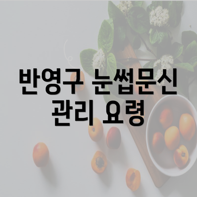 반영구 눈썹문신 관리 요령