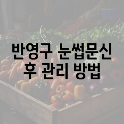 반영구 눈썹문신 후 관리 방법