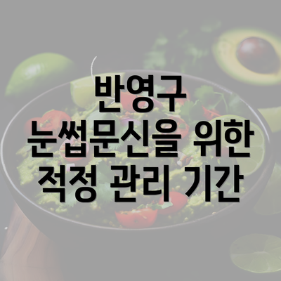 반영구 눈썹문신을 위한 적정 관리 기간