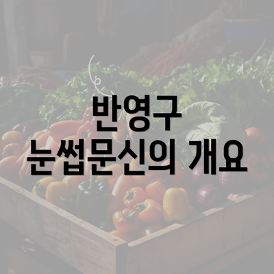 반영구 눈썹문신의 개요