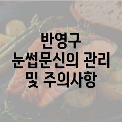 반영구 눈썹문신의 관리 및 주의사항