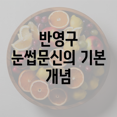 반영구 눈썹문신의 기본 개념