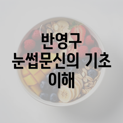 반영구 눈썹문신의 기초 이해