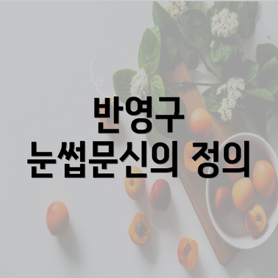 반영구 눈썹문신의 정의