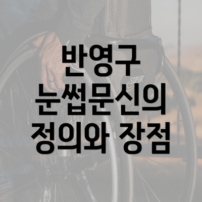 반영구 눈썹문신의 정의와 장점