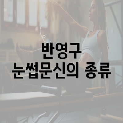 반영구 눈썹문신의 종류