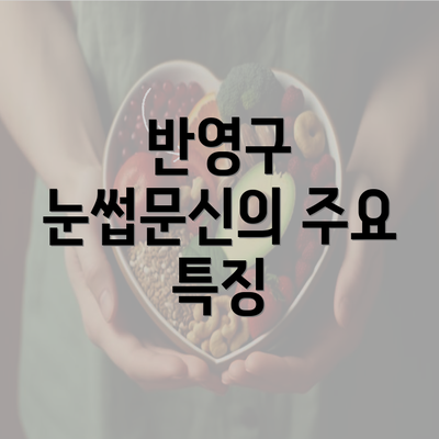 반영구 눈썹문신의 주요 특징