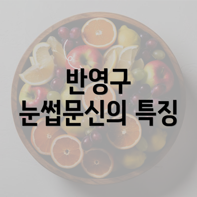 반영구 눈썹문신의 특징