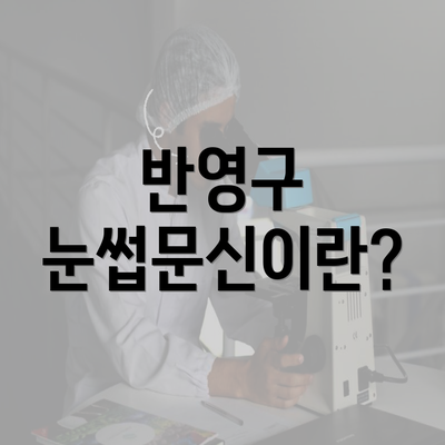 반영구 눈썹문신이란?