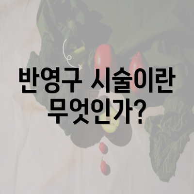 반영구 시술이란 무엇인가?