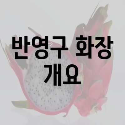 반영구 화장 개요