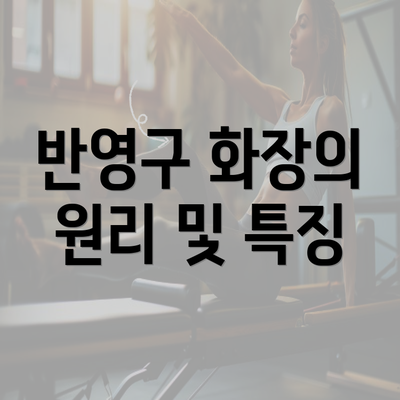 반영구 화장의 원리 및 특징