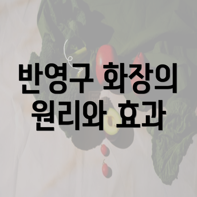 반영구 화장의 원리와 효과