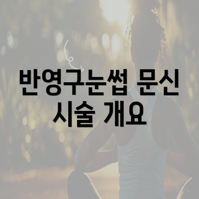 반영구눈썹 문신 시술 개요