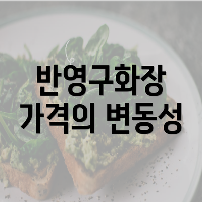 반영구화장 가격의 변동성