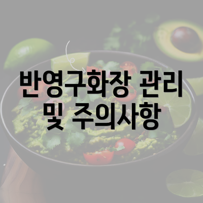 반영구화장 관리 및 주의사항