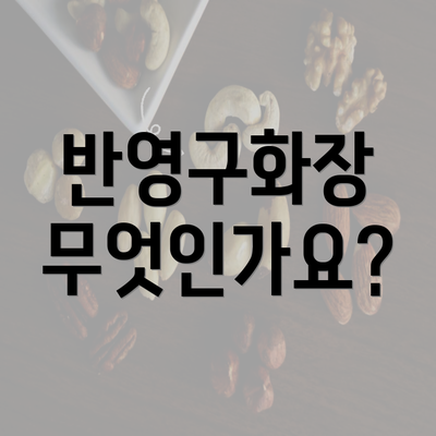 반영구화장 무엇인가요?