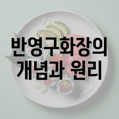 반영구화장의 개념과 원리