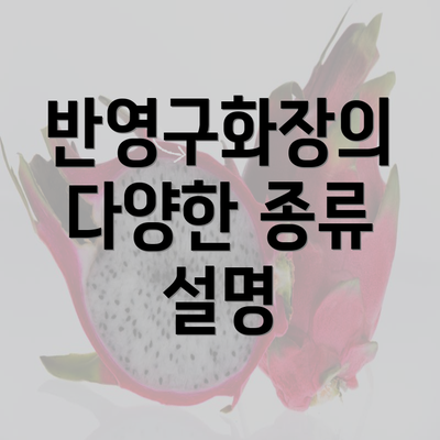 반영구화장의 다양한 종류 설명