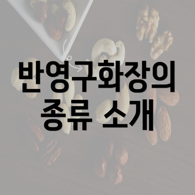 반영구화장의 종류 소개