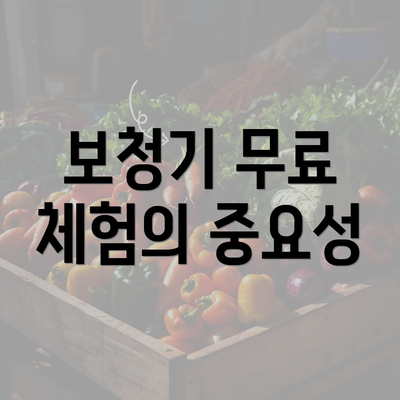 보청기 무료 체험의 중요성