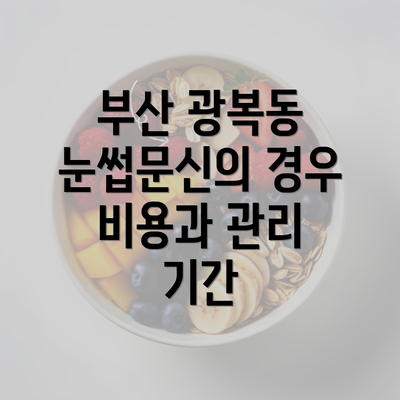 부산 광복동 눈썹문신의 경우 비용과 관리 기간