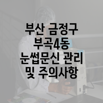 부산 금정구 부곡4동 눈썹문신 관리 및 주의사항