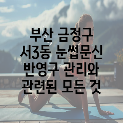 부산 금정구 서3동 눈썹문신 반영구 관리와 관련된 모든 것