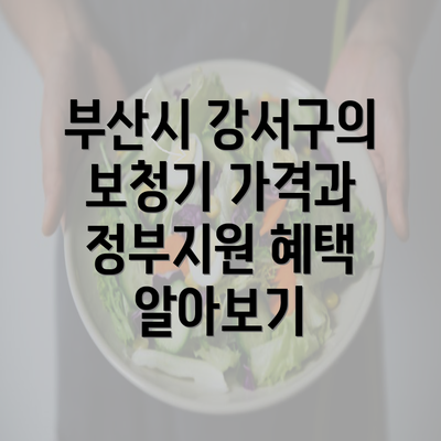 부산시 강서구의 보청기 가격과 정부지원 혜택 알아보기