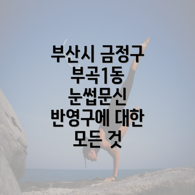 부산시 금정구 부곡1동 눈썹문신 반영구에 대한 모든 것